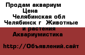 Продам аквариум 4100 › Цена ­ 4 100 - Челябинская обл., Челябинск г. Животные и растения » Аквариумистика   